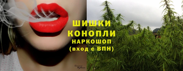стаф Абдулино
