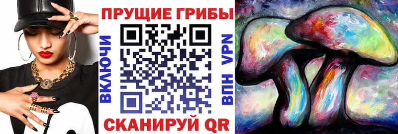 Галлюциногенные грибы мицелий  Яблоновский 